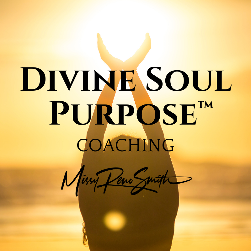 Divine Soul Purpose Missy Reno Smith